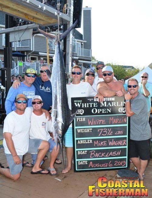 Backlash-white-marlin-6x8.jpg Backlash-white-marlin-6x8.jpg