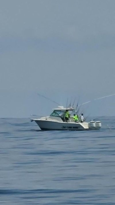 106477710-3394315337255026-3276380841367051516-n.jpg 106477710-3394315337255026-3276380841367051516-n.jpg