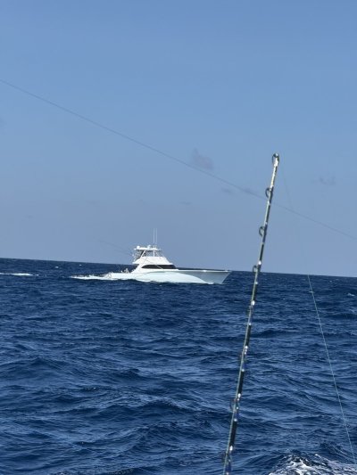 img-6890.jpeg
