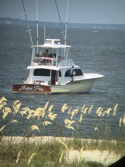 img-8020.jpeg img-8020.jpeg