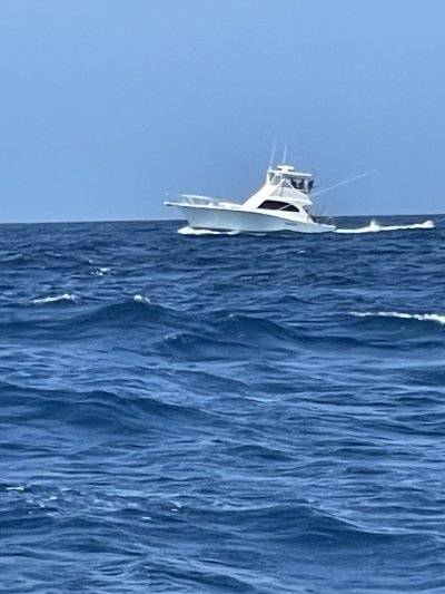 img-8113.jpeg img-8113.jpeg