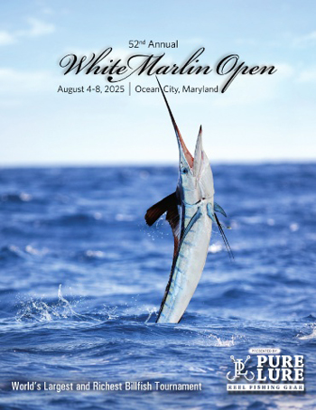 wmo-cover-2025.jpg